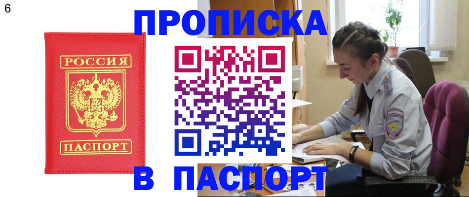 прописка гарантия в Заволжске